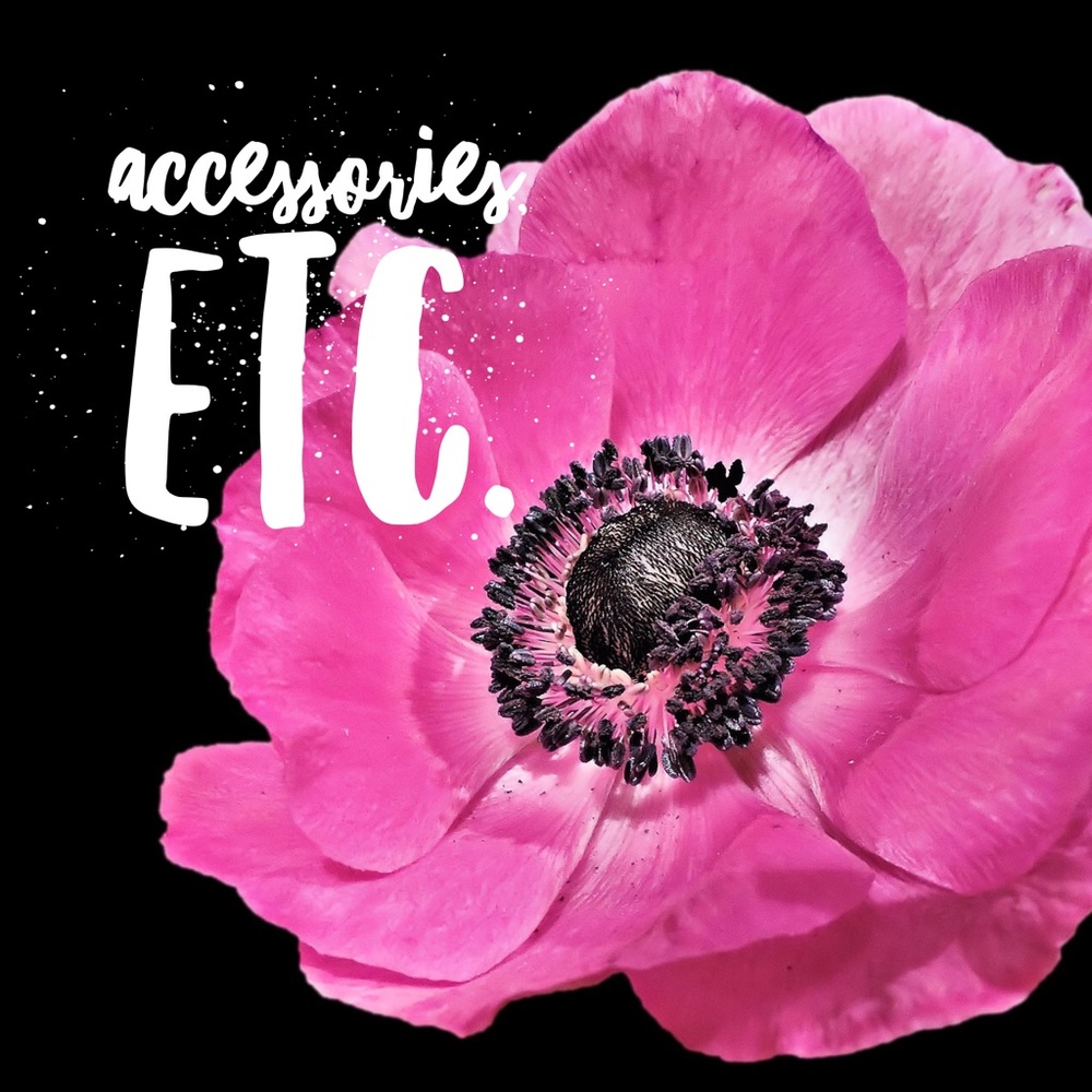 Accessories, etc 🌸 Purses, Belts, Shoes, & More